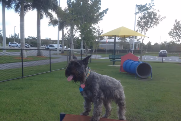 Mayor Roscoe Warren Municipal Park Dog Park